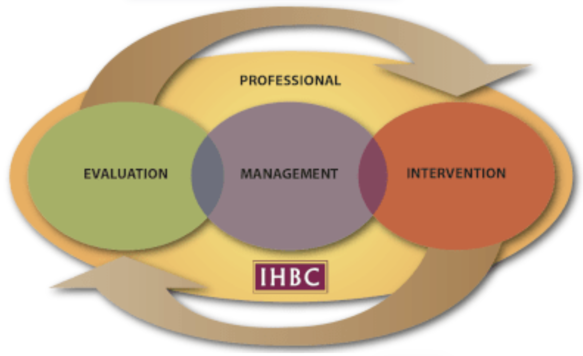IHBC’s Conservation Cycle